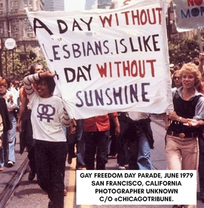 A Day Without Lesbians Pin