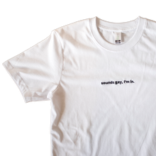Load image into Gallery viewer, Sounds Gay, I&#39;m In Embroidered T Shirt